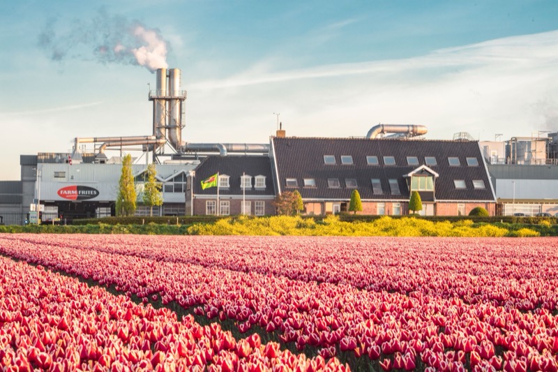 Recruitmentcampagne voor Farm Frites, klant van Momenti